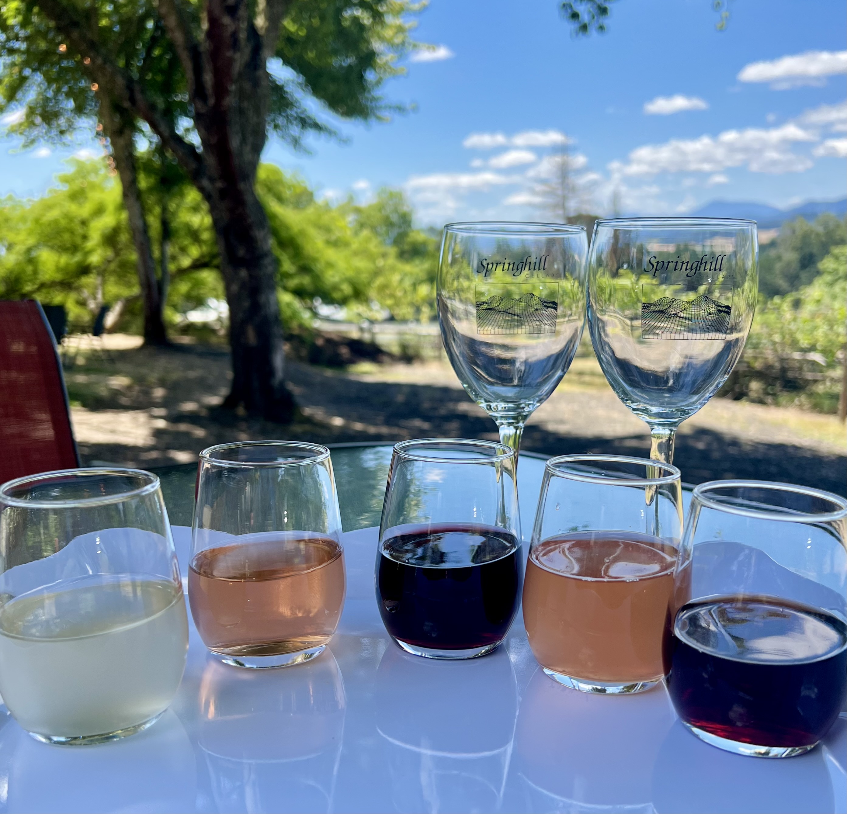 white, rose, and red sample glasses of wine